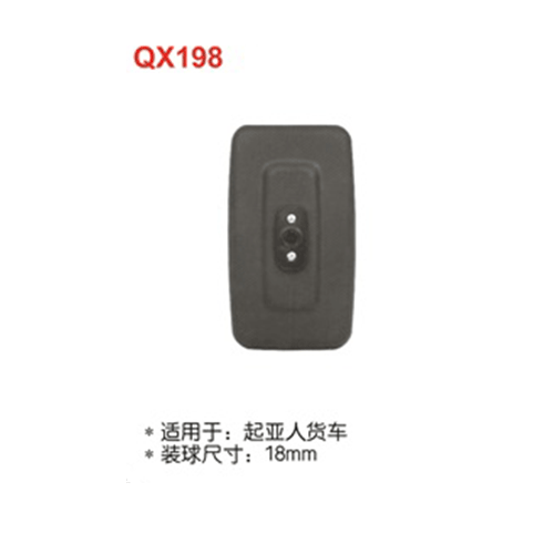 QX198