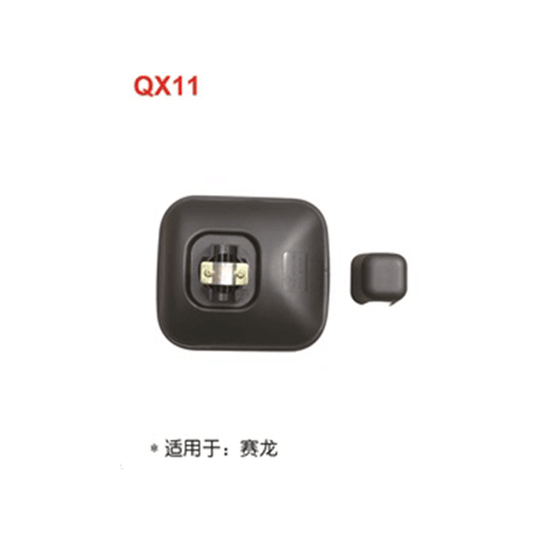 QX11  賽龍