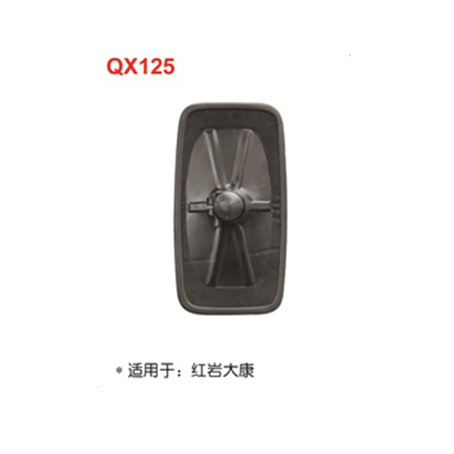 QX125  紅巖大康